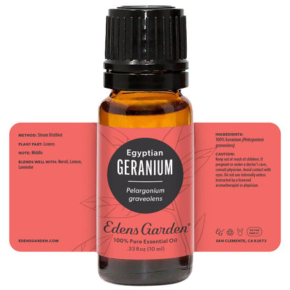 Edens Garden Geranium Egyptian Essential Oil – 100% Pure, Premium Grade, 10 ml