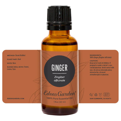 Edens Garden Ginger Essential Oil – 100% Pure Premium Grade, Undiluted (30 ml) | Aromatherapy, Diffuser, Skin, Kid Safe