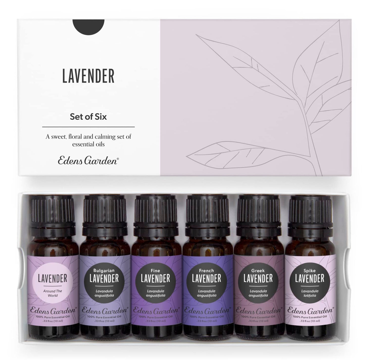 Edens Garden Lavender Essential Oils 6 Set - Pure Therapeutic Grade Aromatherapy (10 ml x6)