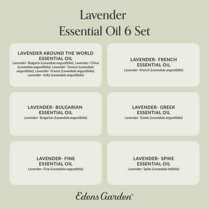 Edens Garden Lavender Essential Oils 6 Set - Pure Therapeutic Grade Aromatherapy (10 ml x6)