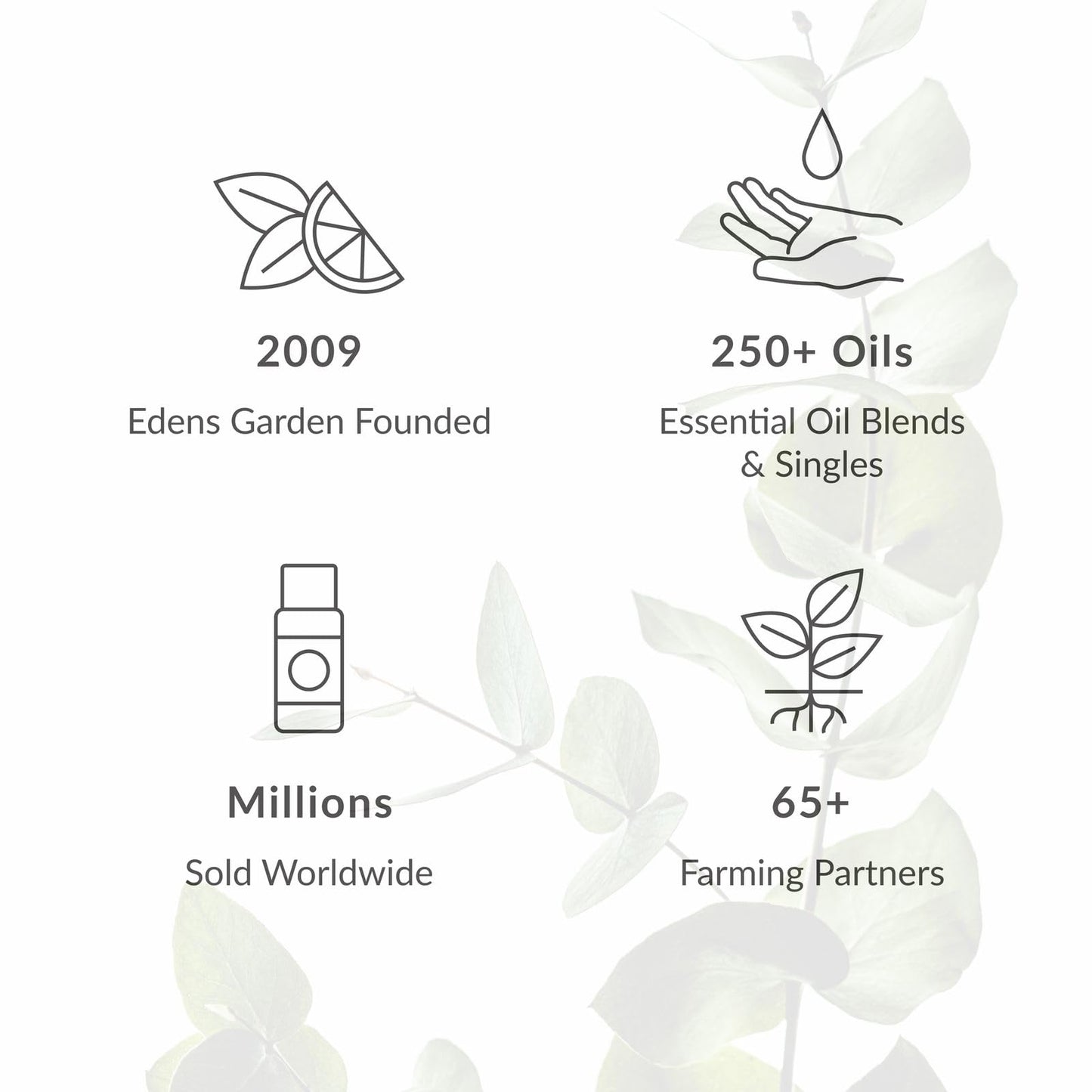 Edens Garden Lily Essential Oil Blend – 10 ml, 100% Pure
