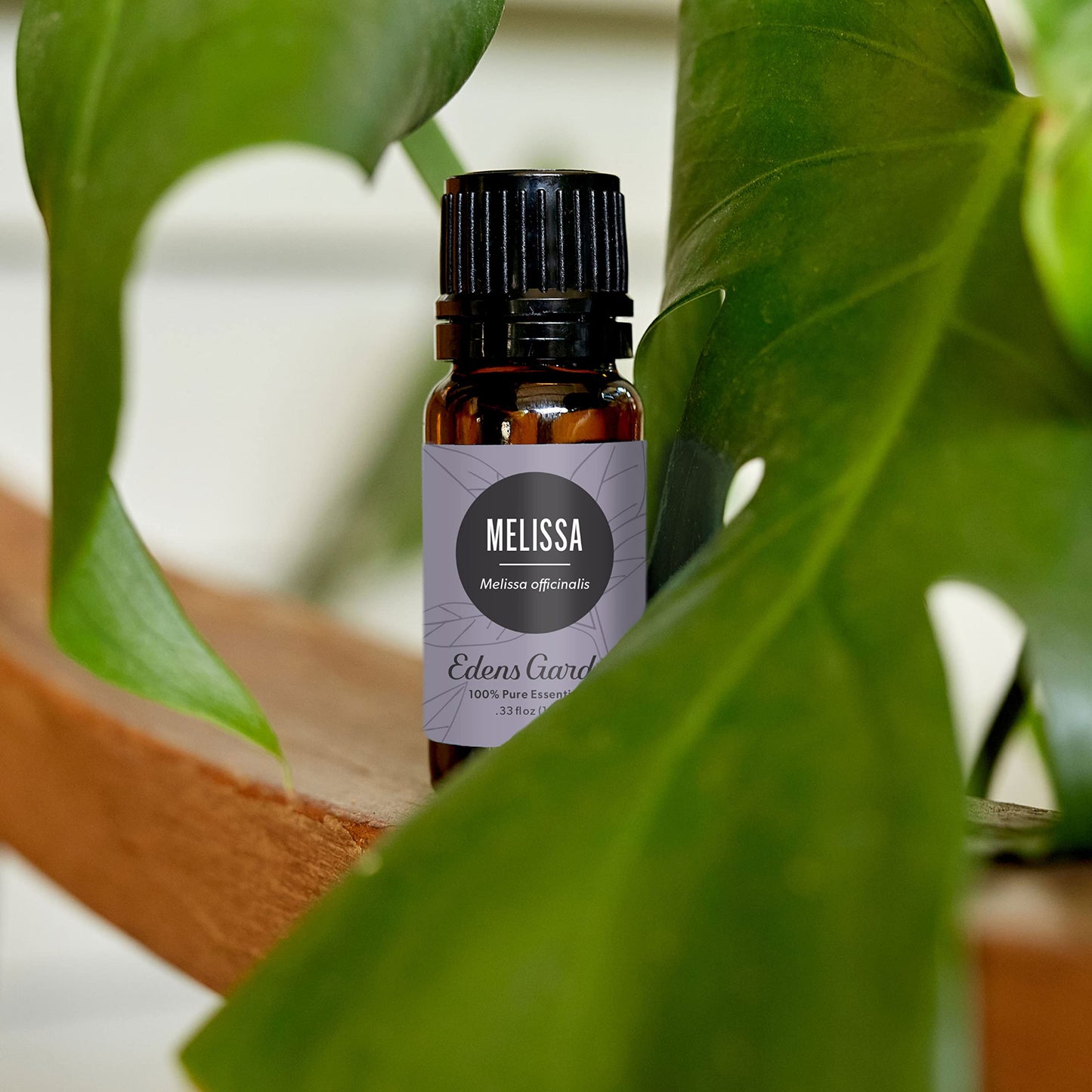 Edens Garden Melissa Essential Oil - 100% Pure Premium Grade, 10 ml