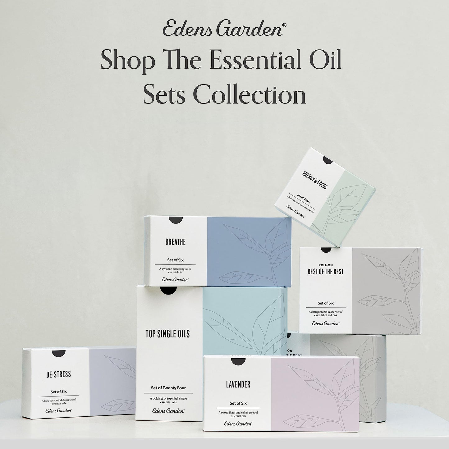 Edens Garden OK for Kids Roll-On Set – 6 Pack, 10 ml Each | Pure Therapeutic Grade