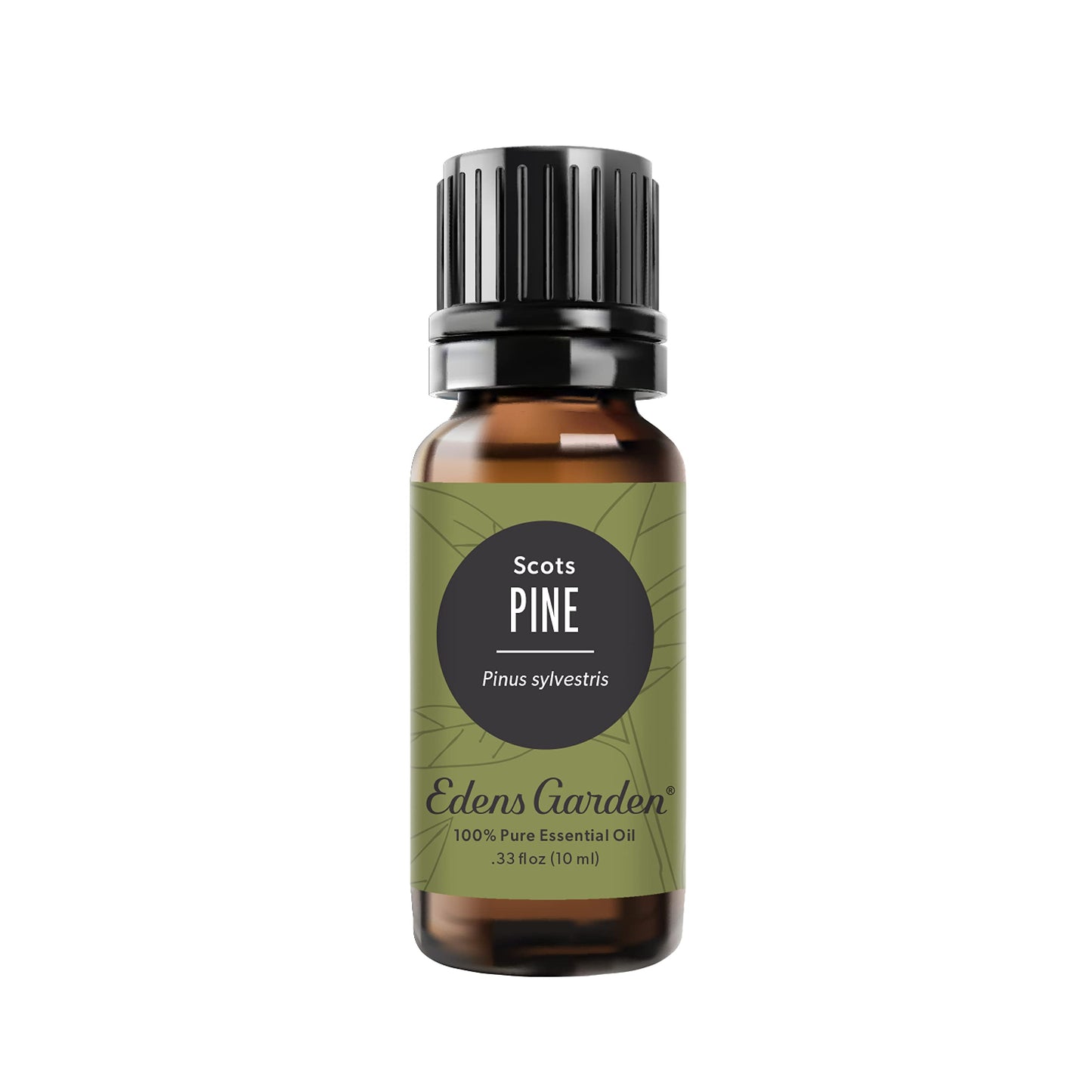Edens Garden Pine-Scots Essential Oil – 100% Pure, Premium 10 ml