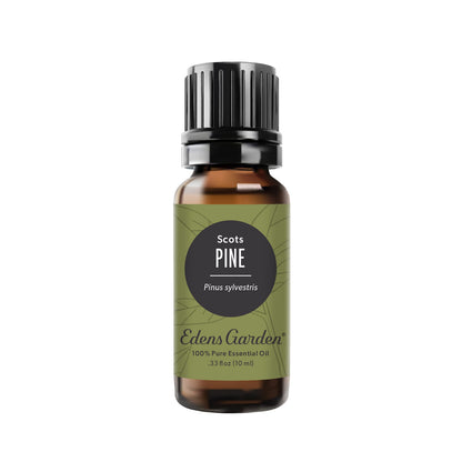 Edens Garden Pine-Scots Essential Oil – 100% Pure, Premium 10 ml