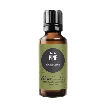 Edens Garden Pine-Scots Essential Oil – 100% Pure Premium Grade (30 ml)