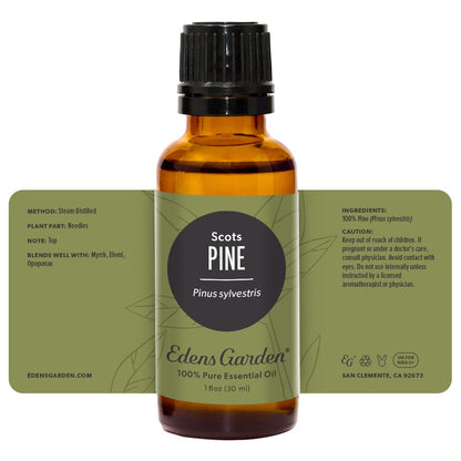 Edens Garden Pine-Scots Essential Oil – 100% Pure Premium Grade (30 ml)