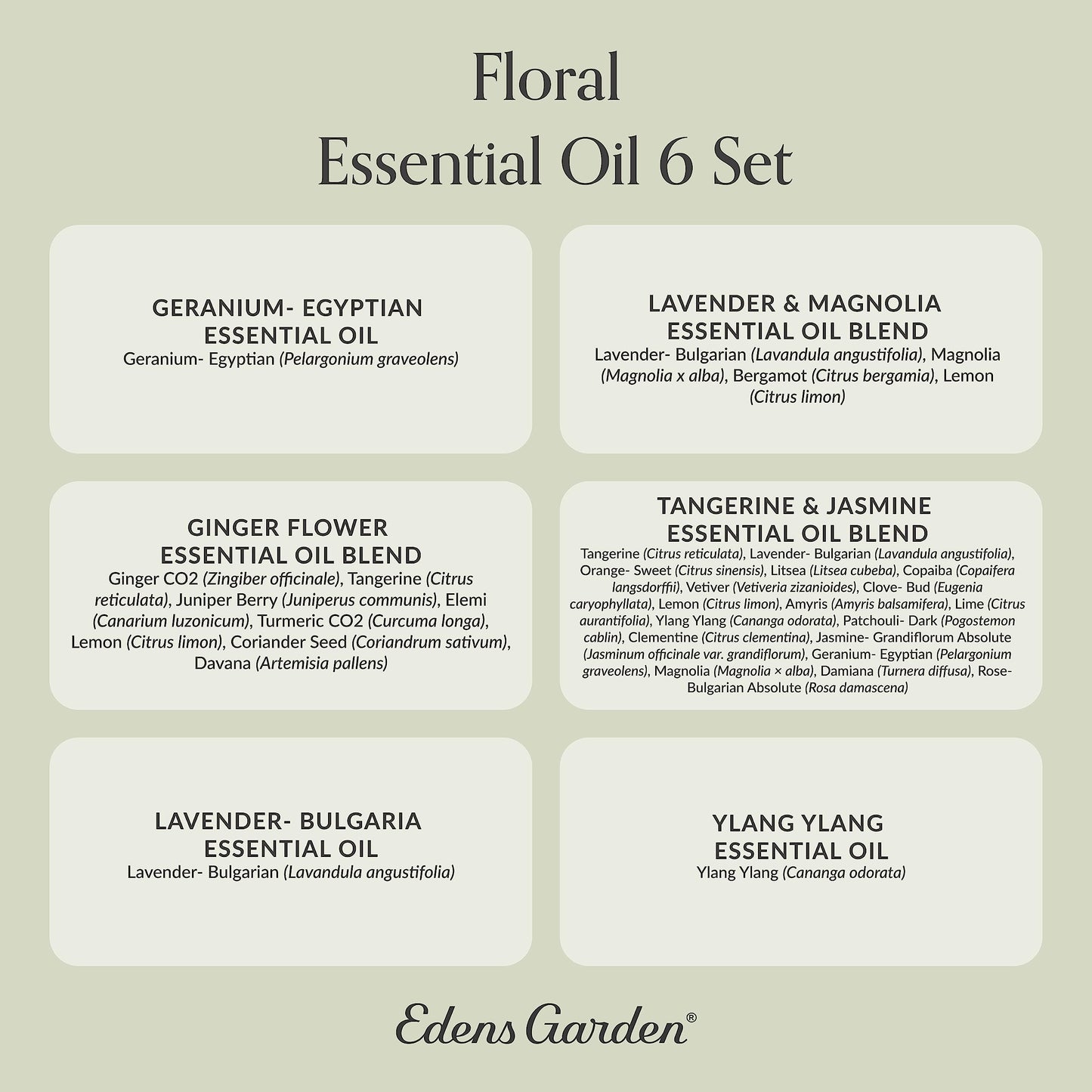 Edens Garden Floral Essential Oils 6 Set – 100% Pure Therapeutic Grade Blends: Geranium, Lavender, Magnolia, Tangerine, Jasmine, Ylang Ylang – 10 ml / 6 Pack