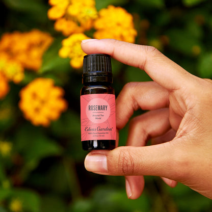 Edens Garden Rosemary Around The World Essential Oil – 10 ml – 100% Pure
