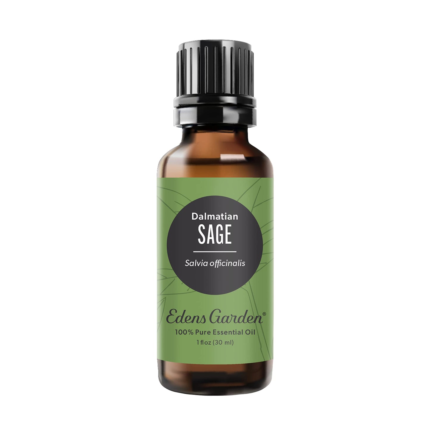 Edens Garden Sage-Dalmation Essential Oil 30 ml | 100% Pure & Premium