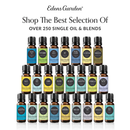 Edens Garden Sparkling Cinnamon Essential Oil Blend - 100% Pure, 10 ml