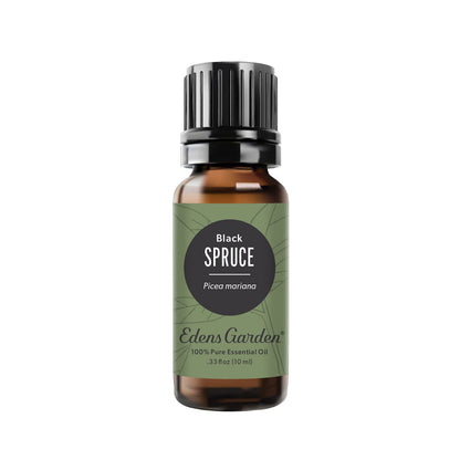 Edens Garden Spruce-Black Essential Oil – 100% Pure, Premium Grade, 10 ml
