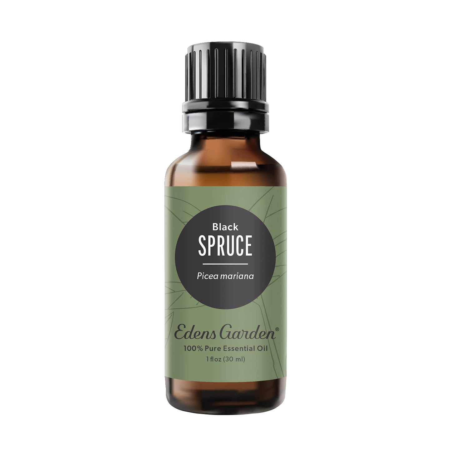 Edens Garden Spruce-Black Essential Oil | 100% Pure Premium Grade 30 ml