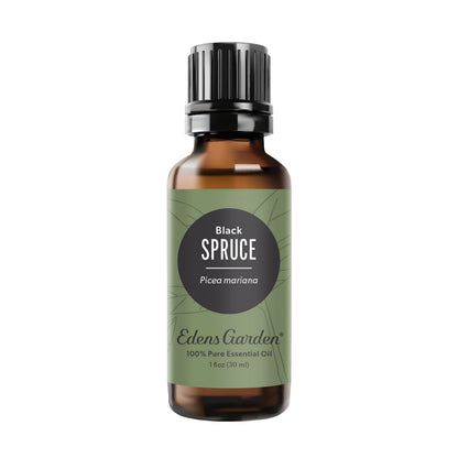 Edens Garden Spruce-Black Essential Oil | 100% Pure Premium Grade 30 ml