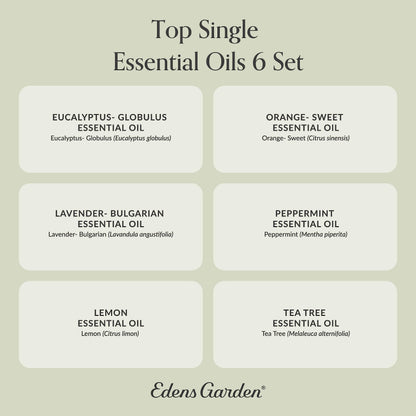 Edens Garden 6-Set Essential Oils – 100% Pure Therapeutic Grade (10 ml each): Lavender, Peppermint, Eucalyptus, Tea Tree, Lemongrass, Sweet Orange