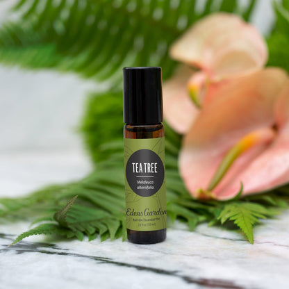 Edens Garden Tea Tree Essential Oil Roll-On - 100% Pure Premium Grade (10 ml)