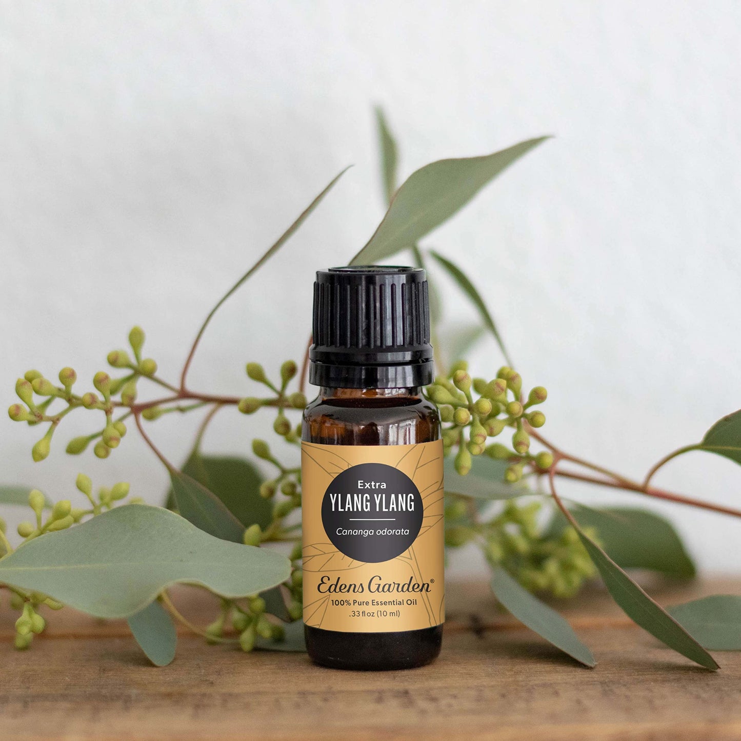Edens Garden Ylang Ylang Extra Essential Oil – 100% Pure, Premium Grade | 10 ml