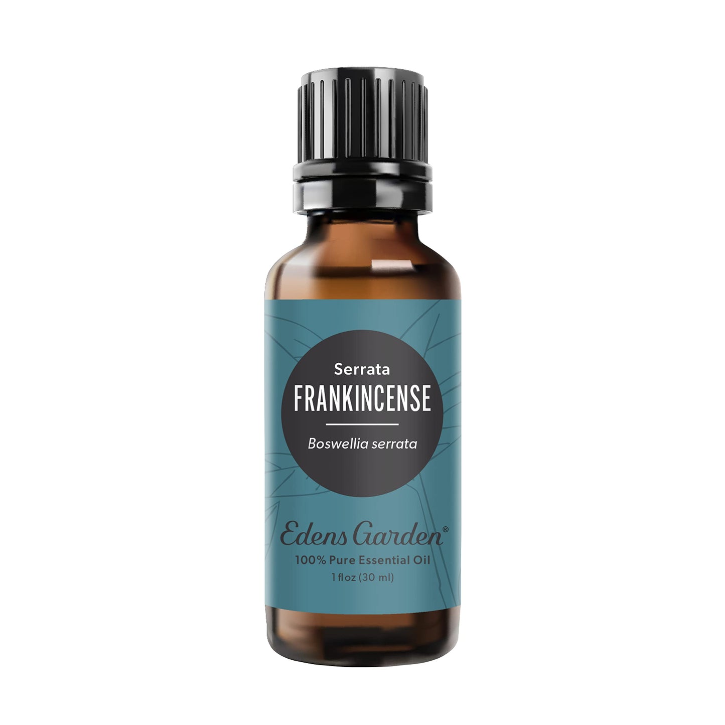 Edens Garden Frankincense-Serrata Essential Oil 30 ml | 100% Pure Therapeutic Grade