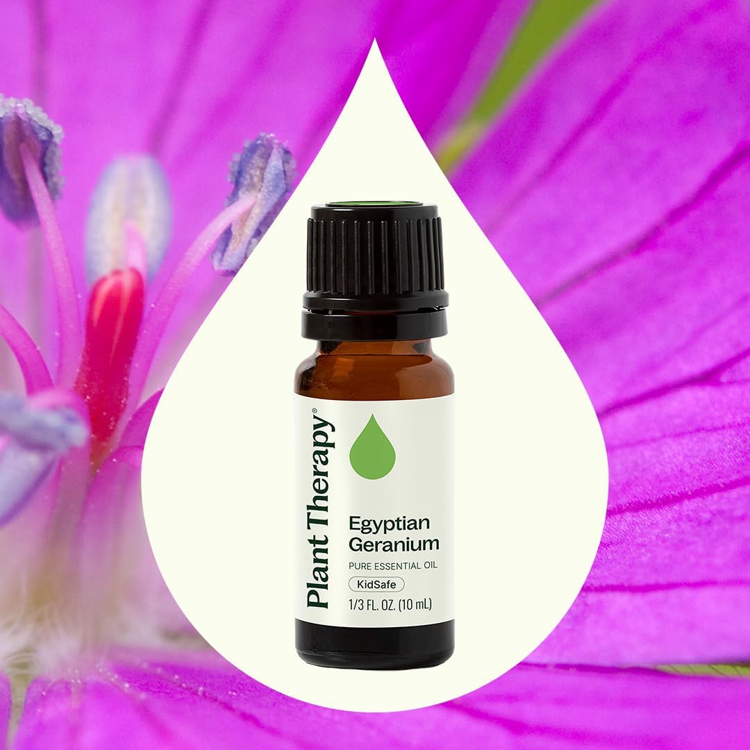 Plant Therapy Egyptian Geranium Essential Oil – 100% Pure, Therapeutic Grade, 10 mL