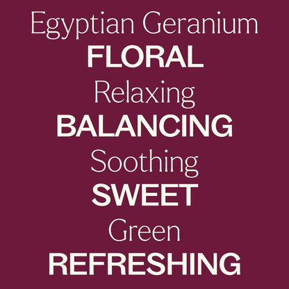 Plant Therapy Egyptian Geranium Essential Oil – 100% Pure, Therapeutic Grade, 10 mL