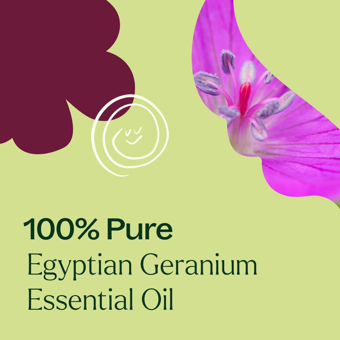 Plant Therapy Egyptian Geranium Essential Oil – 100% Pure, Therapeutic Grade, 10 mL