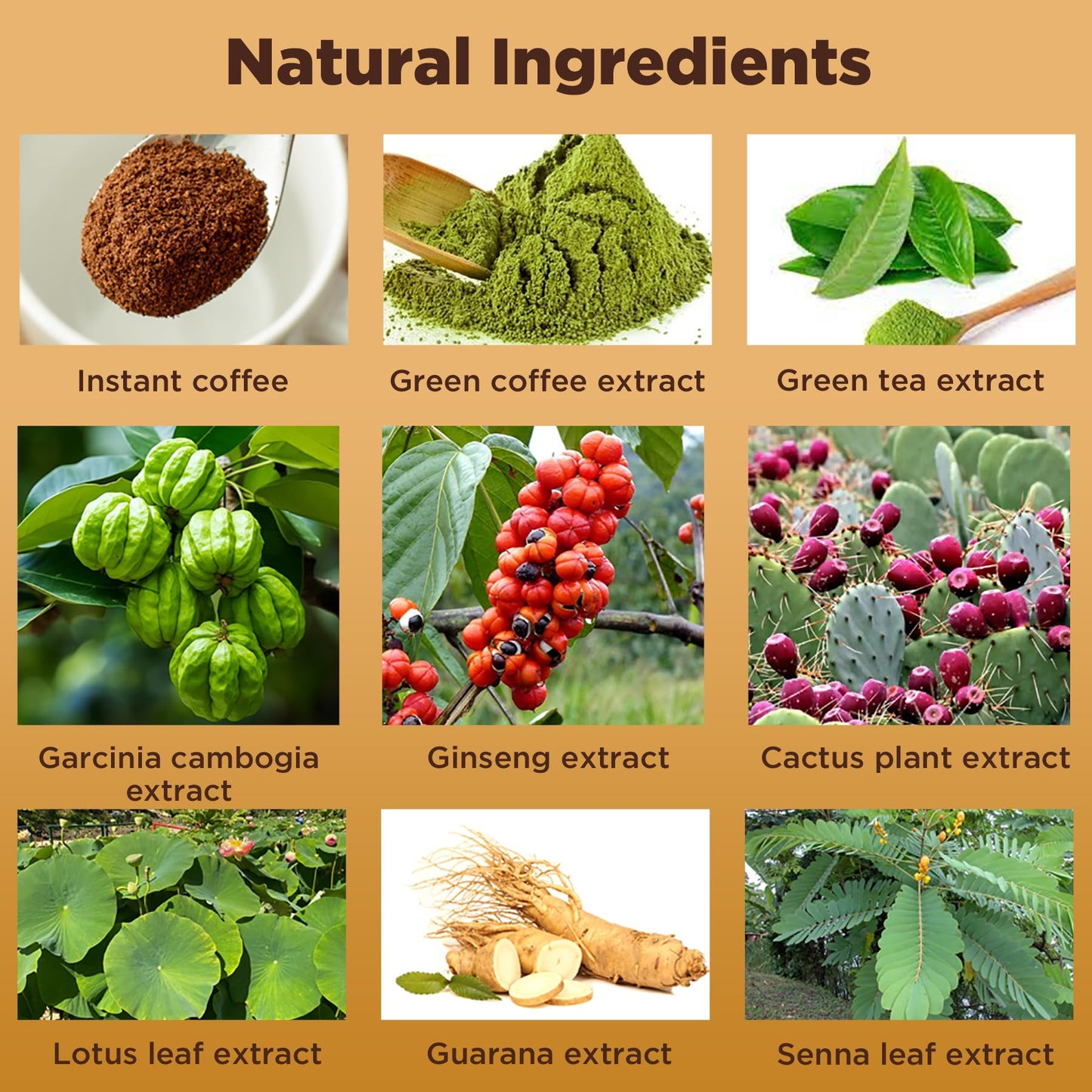 Natural Green Coffee for Metabolism & Energy – 8 Blends, 10 Sachets (Vegan Friendly)