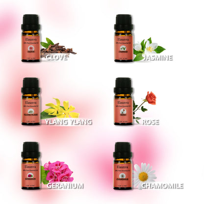 Elaunva Essential Oils Set – 6 Pure Floral Oils for Aromatherapy & Home Fragrance