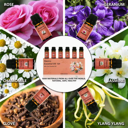 Elaunva Essential Oils Set – 6 Pure Floral Oils for Aromatherapy & Home Fragrance