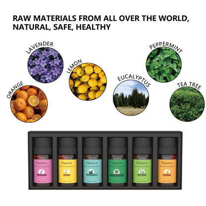 Elaunva Essential Oils Set - 100% Pure & Natural, 6 Scents, 10ml Each