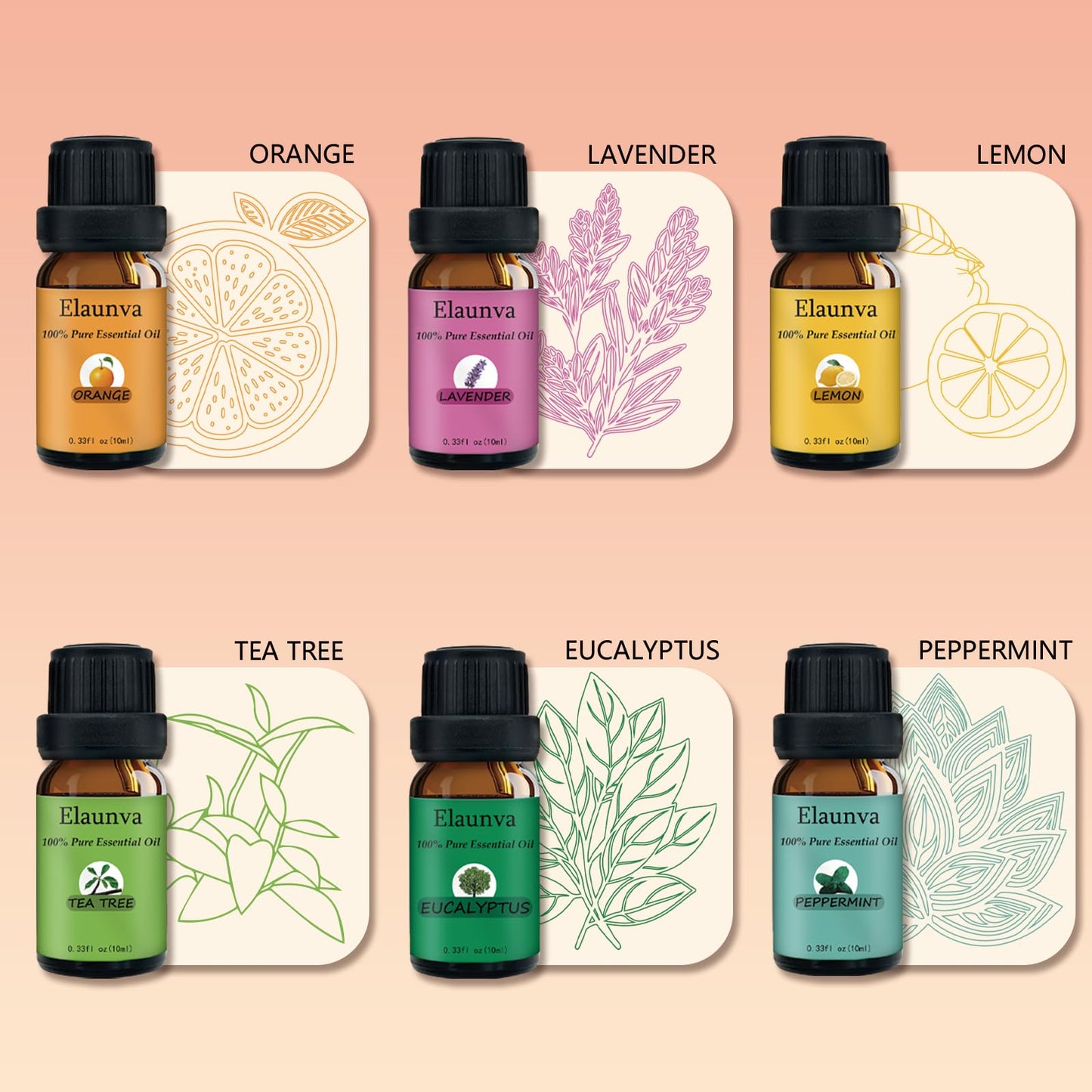 Elaunva Essential Oils Set - 100% Pure & Natural, 6 Scents, 10ml Each