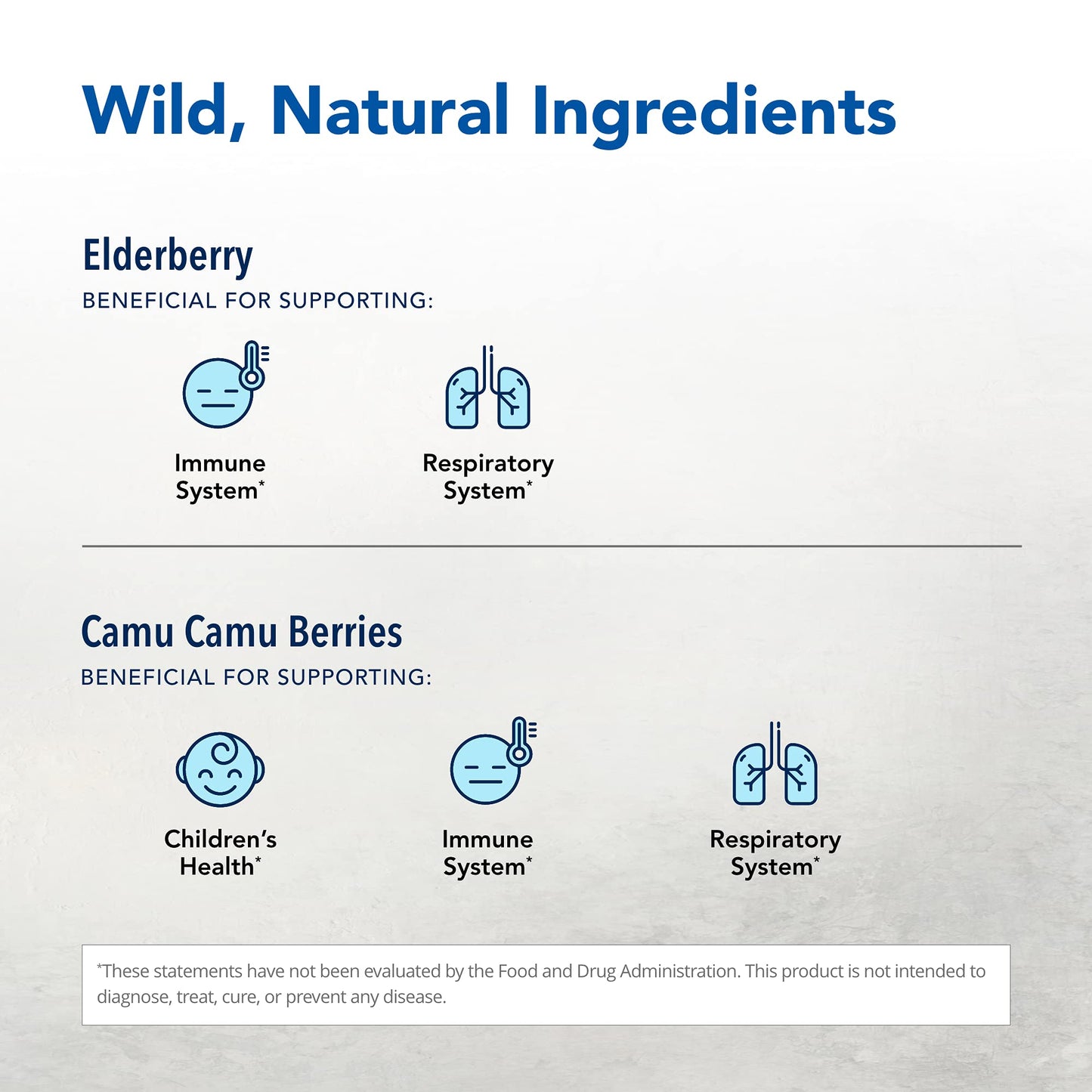 Elder-C Elderberry Concentrate 60 Caps - Immune Support - Oreganol P73 - Non-GMO & Gluten Free