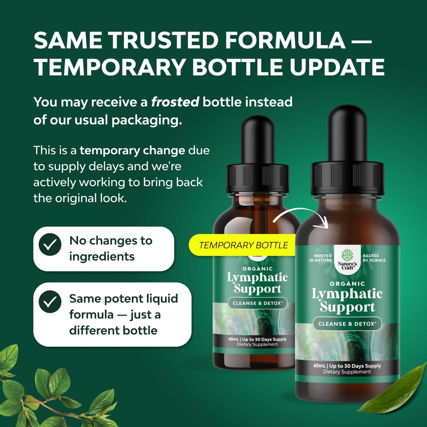 Certified Organic Lymphatic Drainage Drops – Herbal Cleanse & Immune Support (30 Servings)