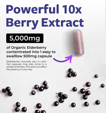 Organic Elderberry Capsules 10:1 Extract — 5,000mg Fresh Elderberries (Vegan) | Immune Support | Sambucus Nigra | 30 Caps