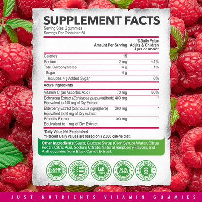 Elderberry Gummies with Vitamin C, Echinacea & Propolis - 100 Count