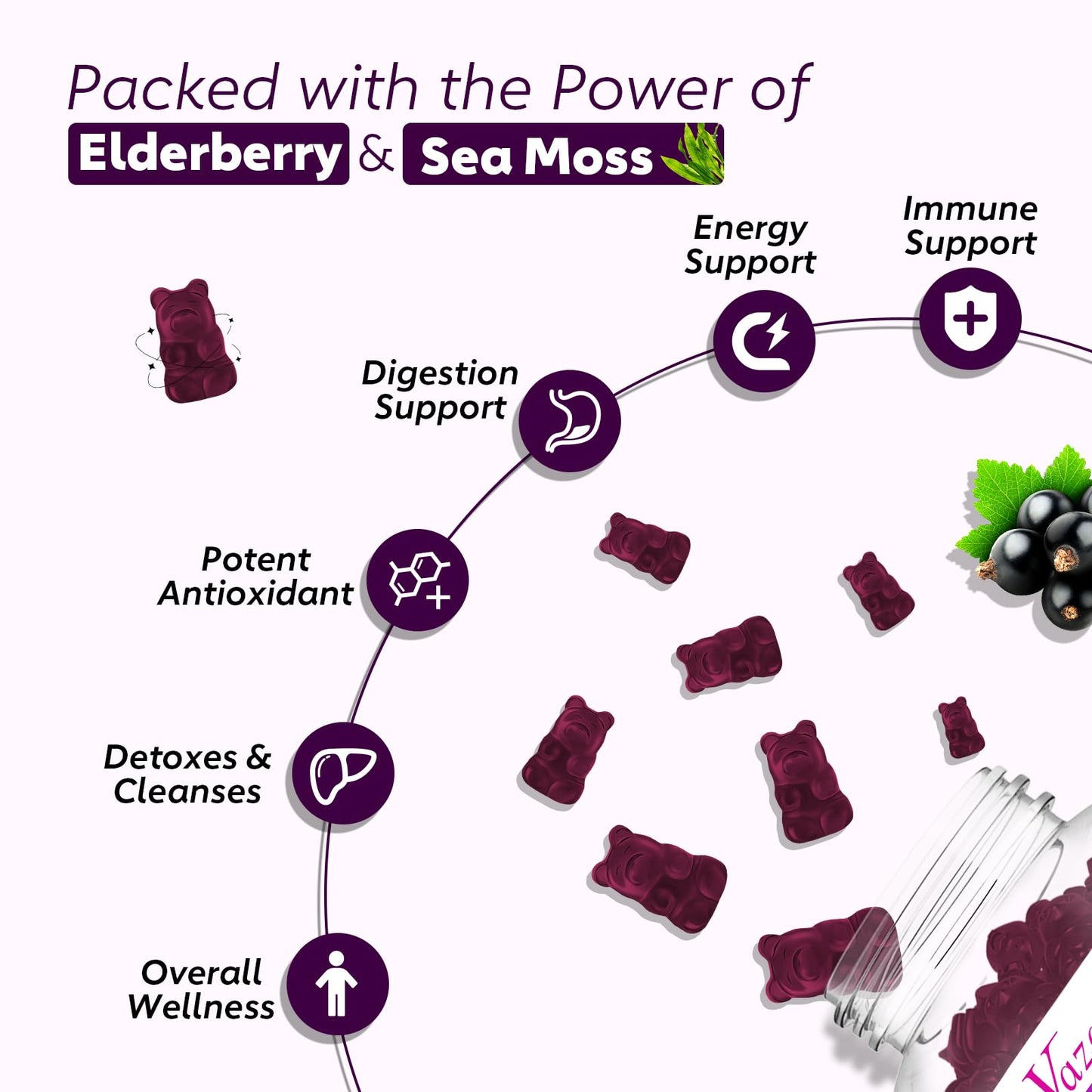 2 Pack Elderberry Gummies with Sea Moss – Extra Strength Immune Support, Vitamin C & Zinc, Blueberry Flavor, 120 Count