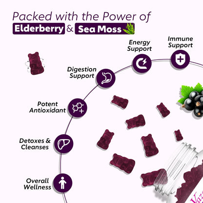 2 Pack Elderberry Gummies with Sea Moss – Extra Strength Immune Support, Vitamin C & Zinc, Blueberry Flavor, 120 Count