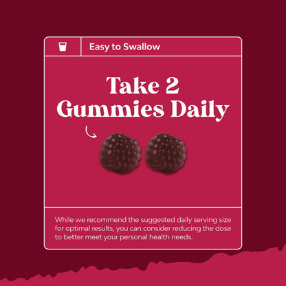 Elderberry Gummies with Vitamin C & Zinc – Immune Support (Vegan Halal) 90ct