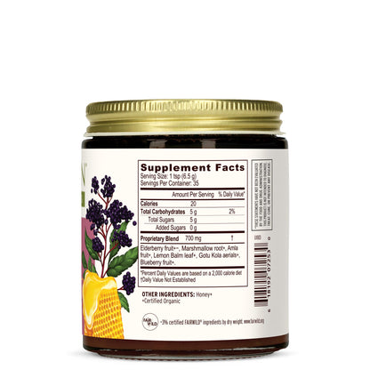 Banyan Botanicals Organic Elderberry Honey – Immune Support for Kids & Adults (8.25 oz)