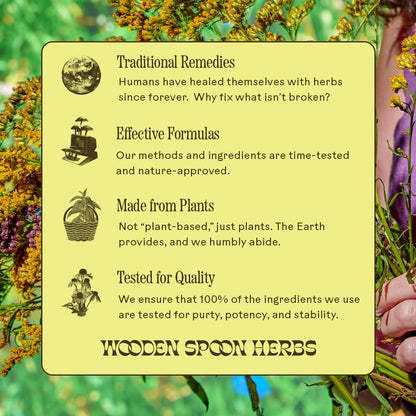 Wooden Spoon Herbs Elderberry Syrup – USDA Organic Lung & Immune Support | 8 fl oz