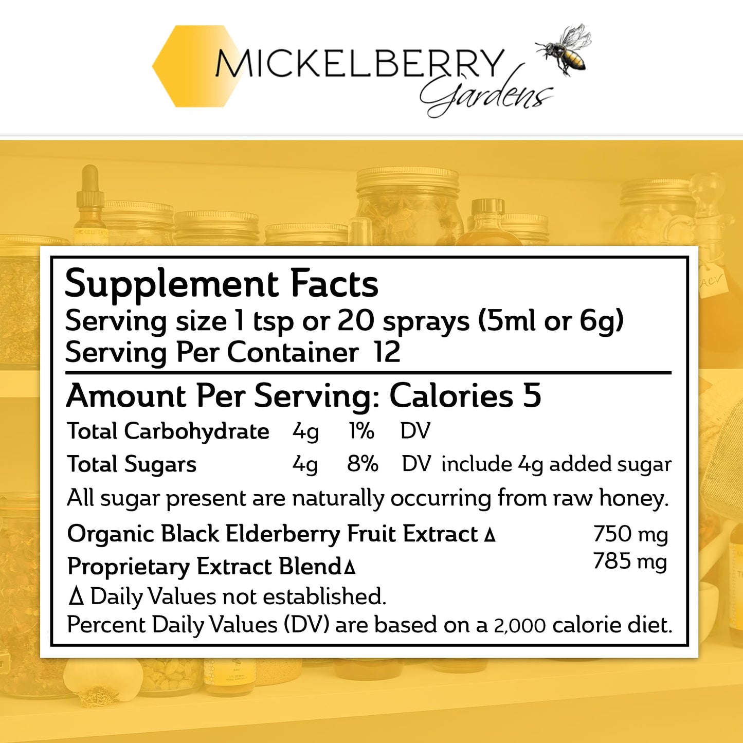 Mickelberry Gardens Elderberry Honey Tonic – Immune Support (4 oz, Pack of 2)