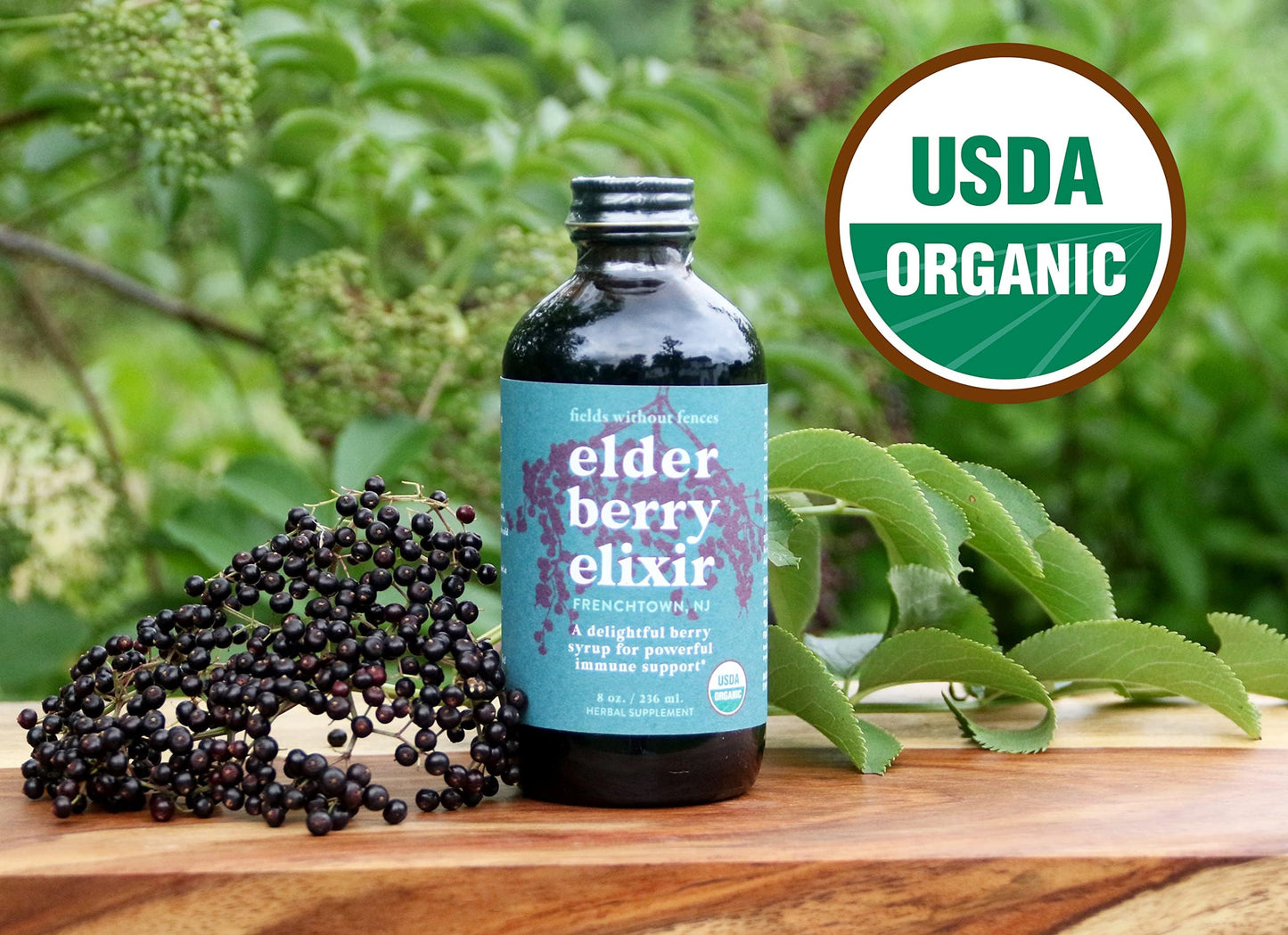 Fields Without Fences Elderberry Elixir – Immune Support for Adults & Kids | Organic, Farm-Fresh Elderberry Syrup | Made in the USA (4 oz)