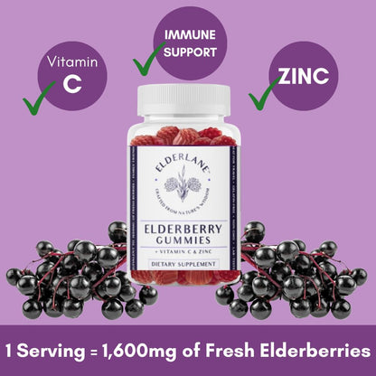 Elderlane Elderberry Gummies for Adults and Kids - Immune Support - Non-GMO, Vegan, Gluten-Free, Gelatin-Free - 60ct, 100mg