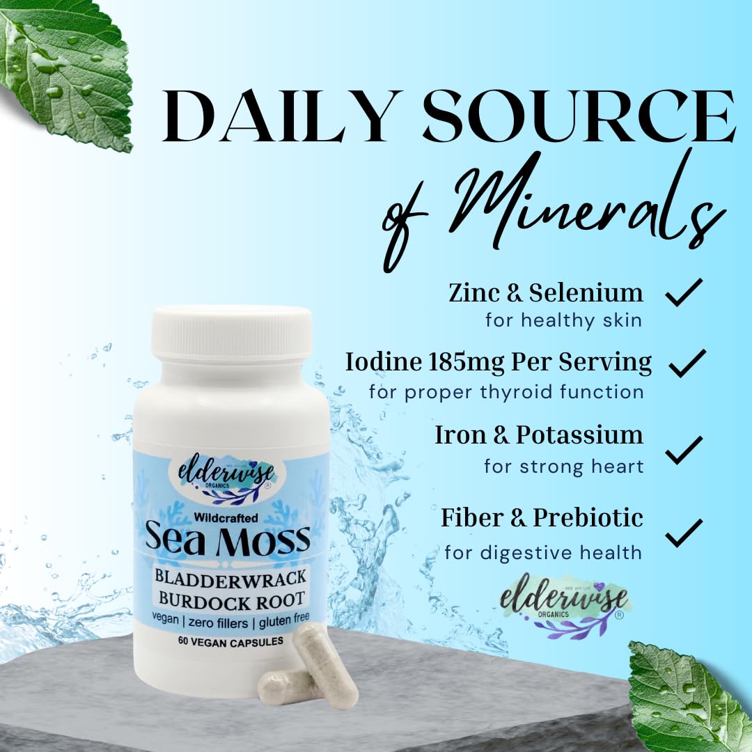 Elderwise Sea Moss Capsules 1400 mg - Burdockroot & Bladderwrack (Pack of 2)