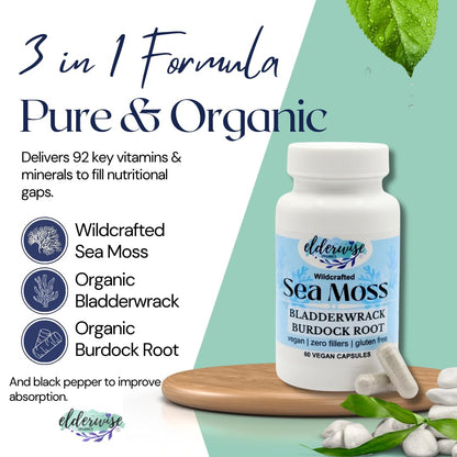 Elderwise Sea Moss Capsules 1400 mg - Burdockroot & Bladderwrack (Pack of 2)
