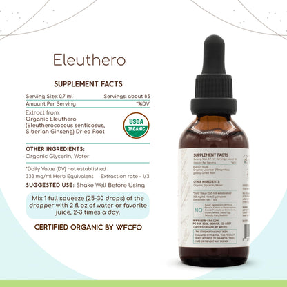 HerbEra Eleuthero B60 USDA Organic Tincture – Alcohol-Free, High-Potency Eleuthero Drops (2 oz)