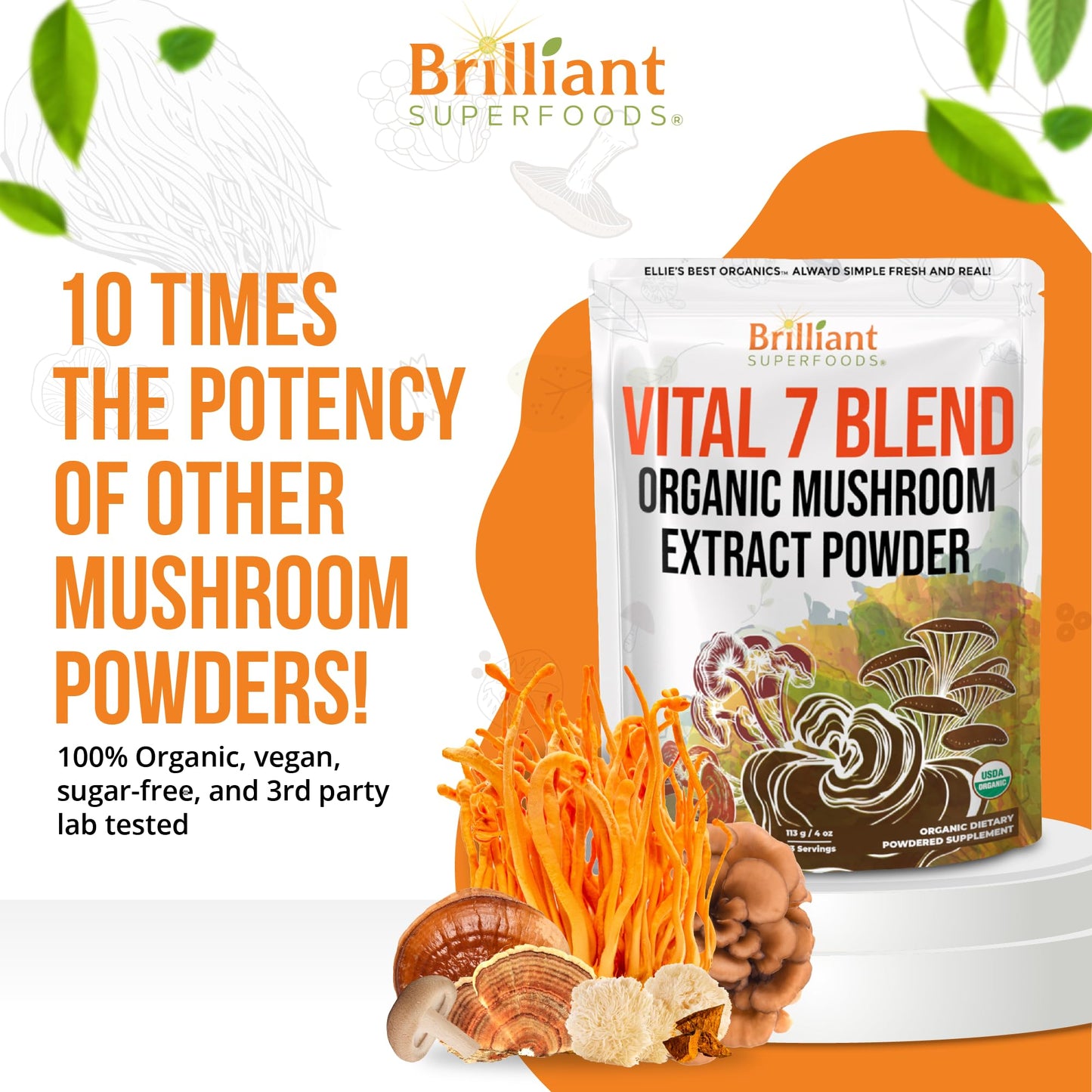 Ellie's Best 7 Mushroom Powder Extract Blend Supplement Organic 114 Servings High Potency Double Extracted Cordyceps, Reishi, Turkey Tail, Chaga, Lion's Mane - 4oz
