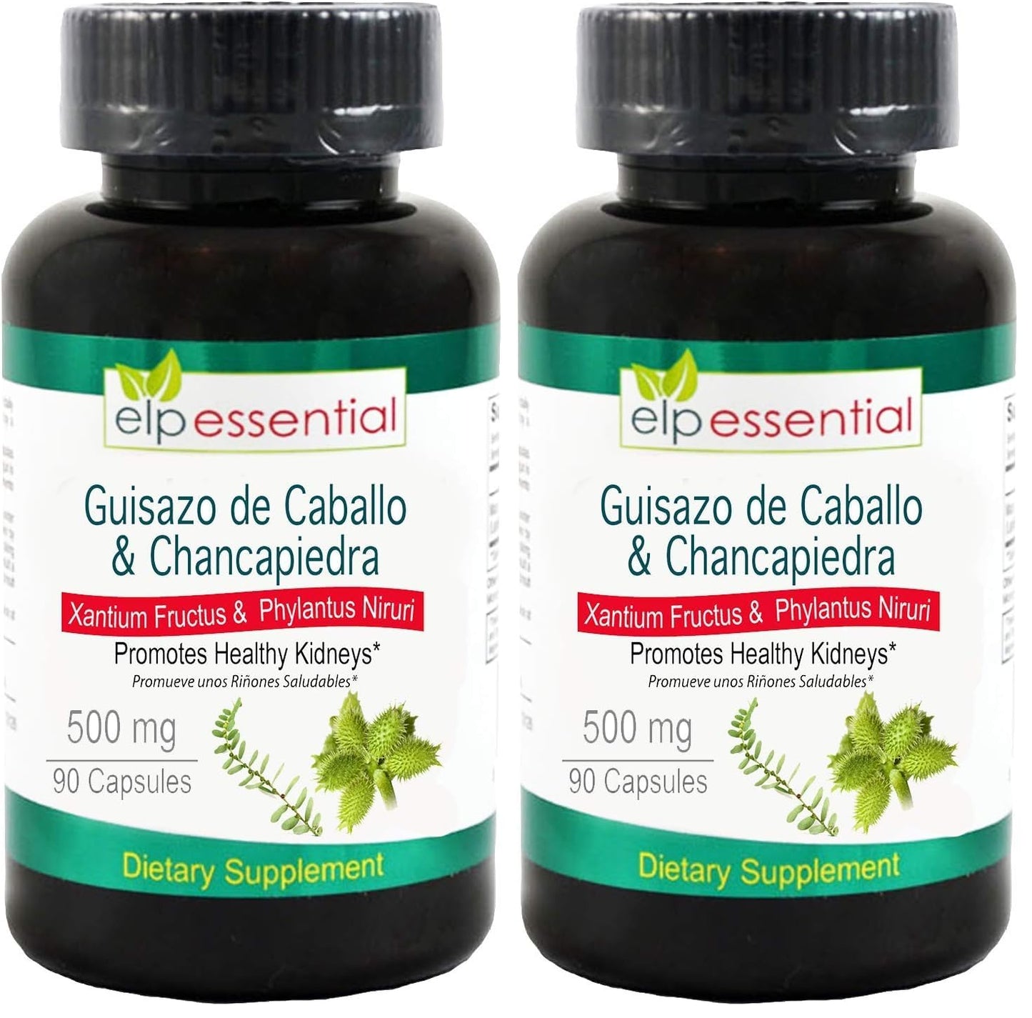 ELP ESSENTIAL Guisazo de Caballo & Chancapiedra 500 mg - 90 Capsules Pack of 2 | Promotes Healthy Kidneys