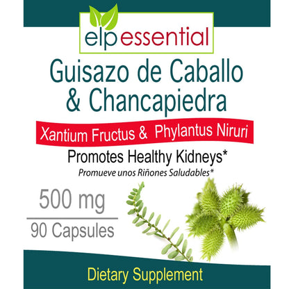 ELP ESSENTIAL Guisazo de Caballo & Chancapiedra 500 mg - 90 Capsules Pack of 2 | Promotes Healthy Kidneys