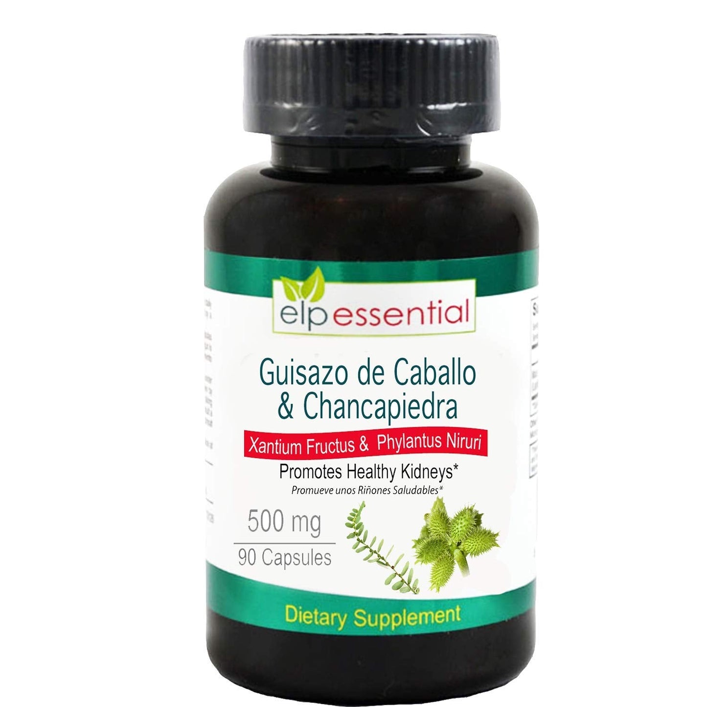 ELP ESSENTIAL Guisazo de Caballo & Chancapiedra 500 mg - 90 Capsules Pack of 2 | Promotes Healthy Kidneys
