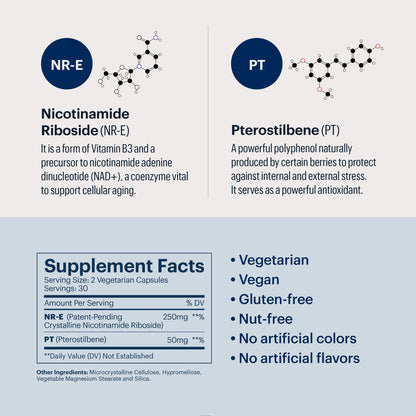 ELYSIUM Basis NAD+ Supplement — 30 Servings | NR 250mg + Pterostilbene 50mg